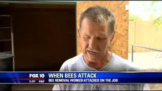 Bee Swarm Attacks Removal Company Worker - Caught on Camera