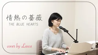 情熱の薔薇 /THE BULE HEARTS　cover by ラスカ