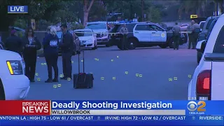 Man Shot To Death In Car In Willowbrook