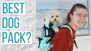 A Backpack that My Dog Likes?! | K9 Sport Sack Air 2 Review