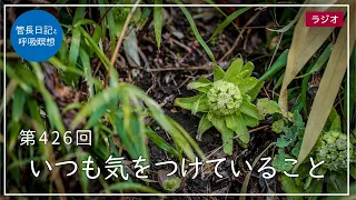 第426回「いつも気をつけていること」2022/3/8【毎日の管長日記と呼吸瞑想】｜ 臨済宗円覚寺派管長 横田南嶺老師