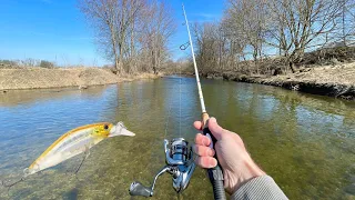 Creek Fishing for TROUT with Jerkbaits