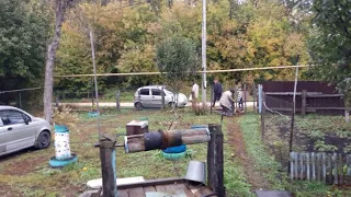 Живём в деревне. Проводили внучка. Каждый день свои дела. Что в доме, убрала огород