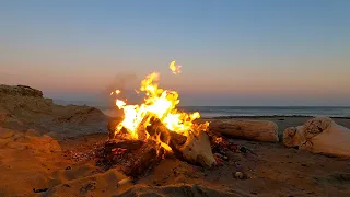 Cozy Beach Bonfire: Campfire at Sunset on The California Coast