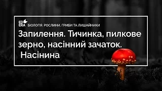 Запилення. Тичинка, пилкове зерно, насінний зачаток. Насiнина (Насінина). Відео 1 3 2 3