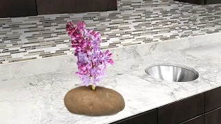 Put A Lilac Flower In A Potato and Watch it GROW! How-To FAST and EASY Growing Method