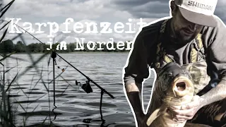 Karpfen im Norden, angeln am Natursee in Mecklenburg