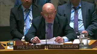 Statement by Amb. Vassily Nebenzia at the UN Security Council Meeting on South Sudan