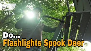 No Flashlight For Deer Hunting?