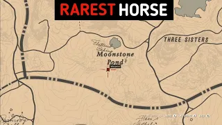 Rarest Horse With Lowest Spawn Rate - RDR2