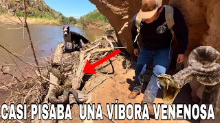 Una Víbora Cascabel En El Rio Esto Se Puso Peligroso