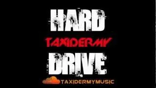 HARD DRIVE - TAXIDERMY (ORIGINAL)