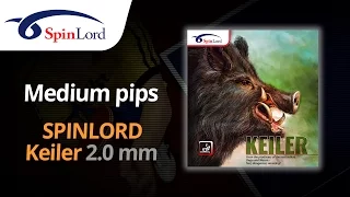 SPINLORD Keiler 2.0 mm - Mega-test of extremely fast and effective medium pips