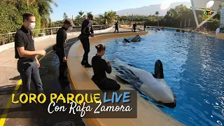 Orca Ocean - S01E07 - Loro Parque LIFE