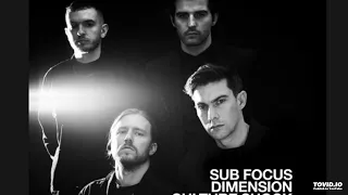 1991  Sub Focus b2b  Dimension b2b Culture  Shock b2b 1991-  Bassrush x WORSHIP  by WORSHIP