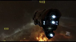 True Sansha T.P. Co (Sansha 10/10) in Paladin, 21:24 - EVE Online