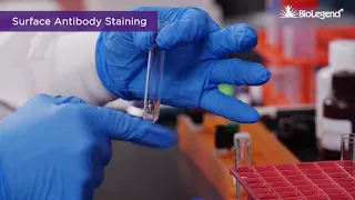 Surface and Intracellular Cytokine Staining for Flow Cytometry