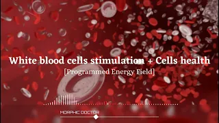 White blood cells stimulation+cells health (Programmed energy+Morphic+frequency)
