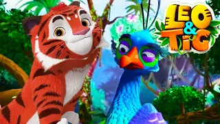 LEO and TIG 🦁 🐯 New episodes collection — The Two Captains 💚 Moolt Kids Toons Happy Bear