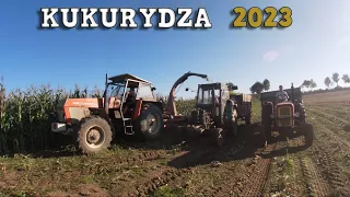 🇵🇱Opór 200%🔥3xUrsus 1224  c360🔥Kukurydza na Kiszonkę 2023🔥✔GR  Zawadzki✔