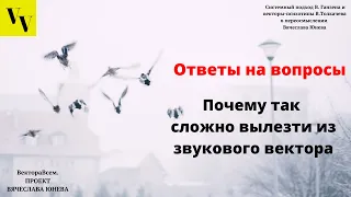 Почему так сложно вылезти из звукового вектора. ВектораВсем. Проект Вячеслава Юнева