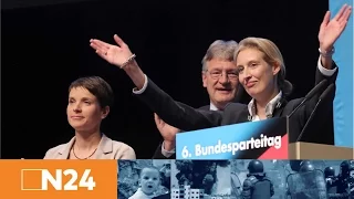 N24 Nachrichten - Nach dem Parteitag in Köln: So will die AfD durchstarten