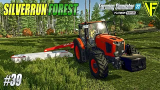A Cut For The Sheep | Silverrun Forest | Farming Simulator 22
