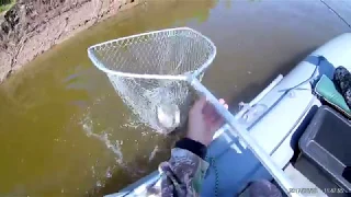 Рыбалка на Иртыше конец августа 2017
