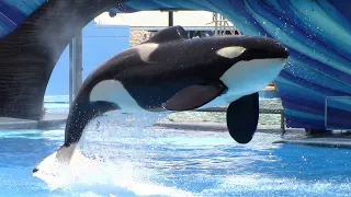 Orca Encounter (Full Show) - SeaWorld Orlando - July 22, 2021