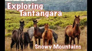 Exploring Tantangara ... Snowy Mountains