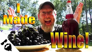 🍷Can you make GOOD WINE from GROCERY STORE GRAPES?🍇 + BONUS RECIPE!
