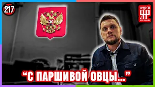 Спасли от беды /// Социальный Ярдрей #11