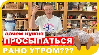 ПОЛЕЗНО ЛИ ВСТАВАТЬ РАНО УТРОМ?  Личный опыт перехода от Совы к Жаворонку.