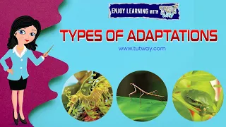 ANIMALS ADAPTATION | How Adaptation In Animals Work? | Animal Adaptations for Kids | Science #shorts