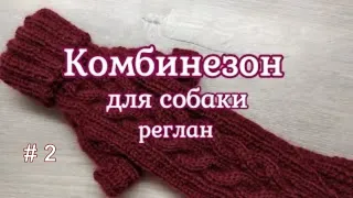 Комбинезон для собаки, часть 2, лапша, реглан