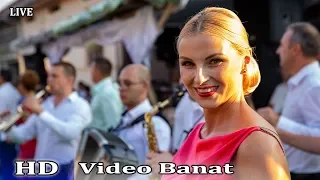 Lena Miclaus & Formatia || Brau live || Nunta Adrian & Ionela  || Verendin Full HD