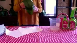 Пресаждане на орхидеи