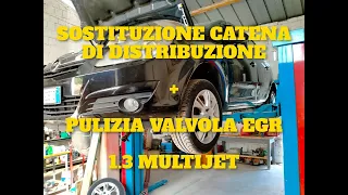 Sostituzione catena di distribuzione + pulizia EGR Opel Corsa D 1.3 CDTI (Multijet)