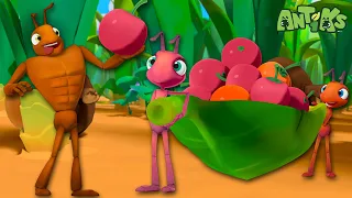 Antiks | The Great Berry Rescue | Funny Cartoons For Kids