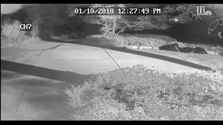 Sandy Springs police release surveillance video of murder suspect