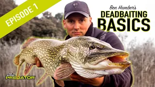 PIKE DEADBAITING BASICS PT1: Learn to fish for pike using deadbaits, pike fishing tutorial