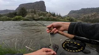 Fly Fishing Trout Road Trip Part 4 | Fly Fishing the Crooked River Oregon 2023 |