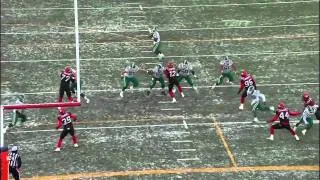 CFL West Final Recap: Saskatchewan 20, Calgary 16- November 21, 2010