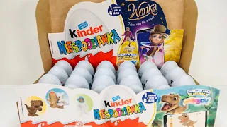 Wonka. Kinder Surprise Unboxing. Вонка. Распаковка Киндеров. Выпуск 3.  Kinder Überraschung Wonka