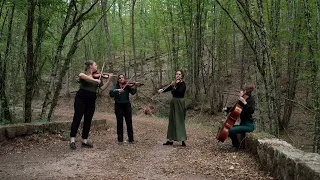 Dvořák - Cypresses B.152 - XI.Allegro scherzando - Quatuor Akilone