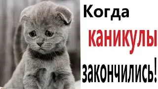 Лютые приколы  КОГДА КАНИКУЛЫ ЗАКОНЧИЛИСЬ!!! Самое смешное видео! РЖАКА ДО СЛЁЗ!  – Domi Show