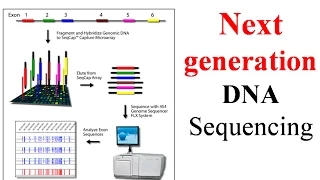 Next generation sequencing