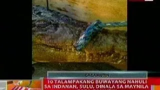 BT: 10 talampakang buwayang nahuli sa Indanan, Sulu, dinala sa Maynila para gamutin