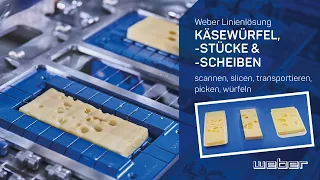 Weber Linienlösung für Käsewürfel, -stücke und scheiben | weSCAN, Slicer TS700, weSHUTTLE, wePICK