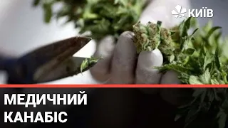 Що українці думають про легалізацію медичного канабісу